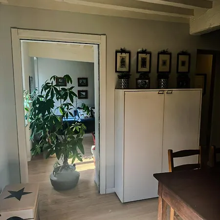 Beautiful Center - Posti Auto Privati Prenotabili Parme