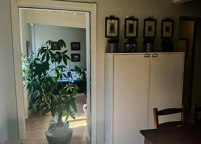 Beautiful Center - Posti Auto Privati Prenotabili Parma